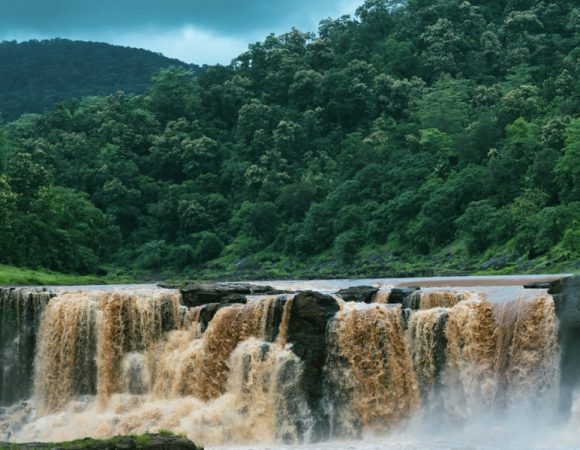 Saputara-6